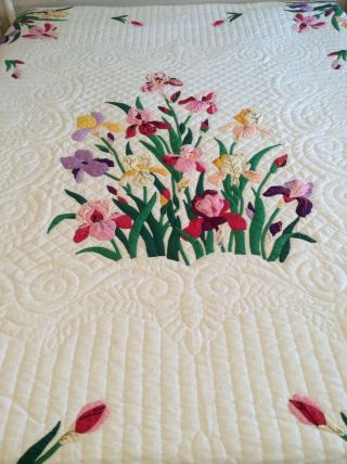 Vintage Progress Appliqué Quilt Made From A Kit: The Iris