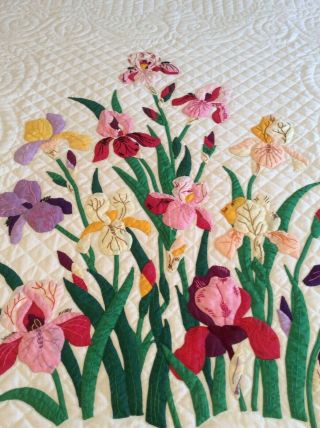 Vintage Progress Appliqué Quilt Made From A Kit: The Iris 5