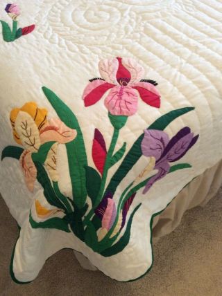 Vintage Progress Appliqué Quilt Made From A Kit: The Iris 6