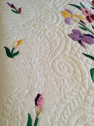 Vintage Progress Appliqué Quilt Made From A Kit: The Iris 7