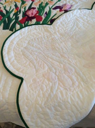 Vintage Progress Appliqué Quilt Made From A Kit: The Iris 8