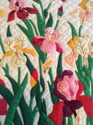 Vintage Progress Appliqué Quilt Made From A Kit: The Iris 9