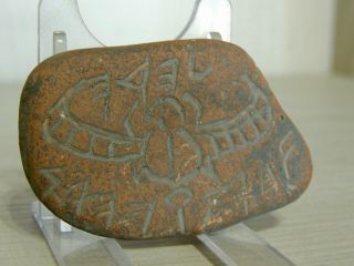 ANTIQUE CLAY TABLET FRAGMENT WITH SCRIPTURES,  GRAFFITI SYMBOLS,  DRAWINGS 3