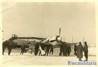 Rare Luftwaffe Ground Crew Preparing To Launch Fw.  190 Fighter In Winter