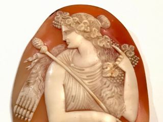 Stunning Carved Antique Large Shell Cameo For Brooch