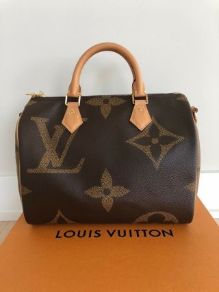 Rare Louis Vuitton Giant Monogram Speedy 30 Pochette Metis Neverfull Alma