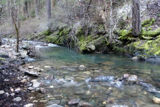 Extremely Rare Oregon Creek Placer Gold Mining Claims Land Near Forest City