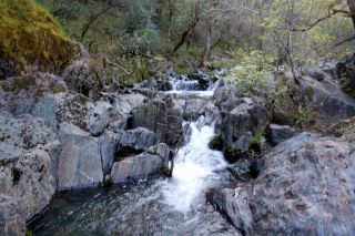 Rare Placer Gold Mining Claim Land Gentry Gulch Mariposa County,  Ca Coulterville