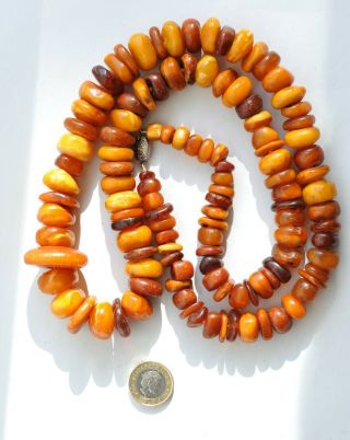 Vintage Dark Butterscotch Baltic Amber Necklace – Long Length - 173.  34g