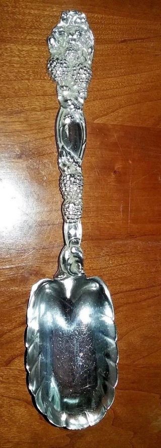 Stunning Tiffany & Co.  Sterling Silver Berry Spoon In The Blackberry Pattern