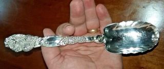 STUNNING TIFFANY & Co.  STERLING SILVER BERRY SPOON in the BLACKBERRY PATTERN 4