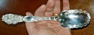 STUNNING TIFFANY & Co.  STERLING SILVER BERRY SPOON in the BLACKBERRY PATTERN 6