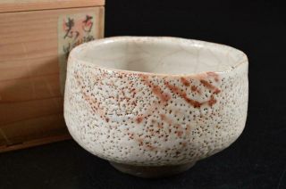 G8527: Japanese Old Shino - Ware White Glaze Muffle Painting Tea Bowl W/box