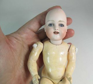 8 Inch Kestner? Bisque Head Doll With Restoration 5