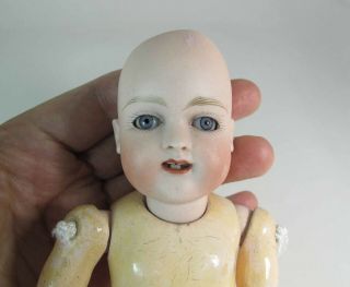 8 Inch Kestner? Bisque Head Doll With Restoration 6