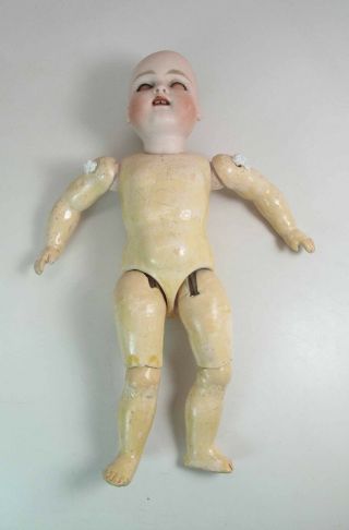 8 Inch Kestner? Bisque Head Doll With Restoration 9