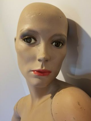Vintage wolf vine greneker mannequin glass eyes female store display 1980 3