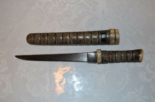 Antique Japanese Women Tanto Tang Signed