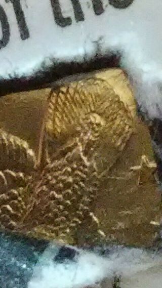 Cheerios Sacagawea Dollar variety detailed feather rare coin collecting 2