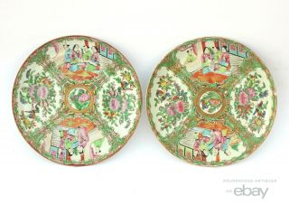 19th C.  Antique Chinese Export Rose Medallion Porcelain Plates Qing Dynasty