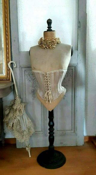 Antique French Stockman Wasp Waist Corset Bust Dressform Mannequin,  Table Bust