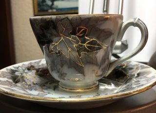 Vintage Tea Cup & Saucer Bryonia Black & White With Gold Inlay