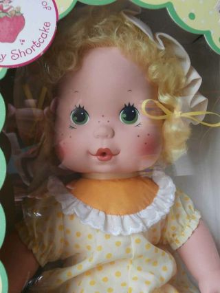 RARE 1982 NRFB Vintage Kenner BABY Strawberry Shortcake LEMON MERINGUE DoLL 2