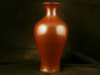 6.  9 Inches Special Chinese Qing Dy Yongzheng Brown Glaze Porcelain Vase V012