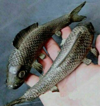 1 Pair (two) Ancient Japan Pure Bronze Sculpture Vivid Cyprinoid Carp Fish