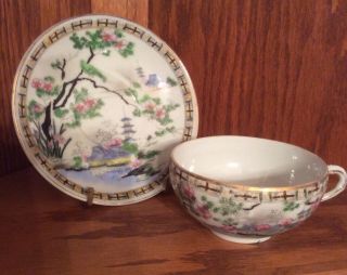 Vintage Japanese Porcelain Cup And Saucer With Temples And Cherry Blossoms