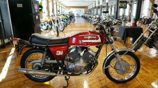 1975 Other Makes 3 1/2 Strada 3