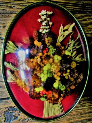 Dry Flower Arrangement Vintage Oval Dome Frame Wall Hanging Real Flower Picture
