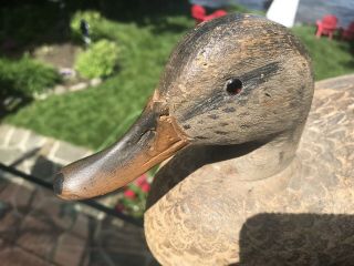 VINTAGE BEN SCHMIDT MALLARD HEN DUCK DECOY PAINT GREAT FEATHER STAMPS 5