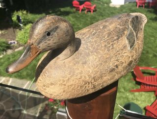 VINTAGE BEN SCHMIDT MALLARD HEN DUCK DECOY PAINT GREAT FEATHER STAMPS 6