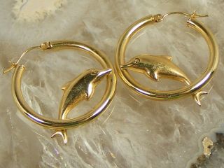 Large Vintage 14k Yellow Gold Dolphin Hoop Earrings Signed Gc 1.  2 " Diameter