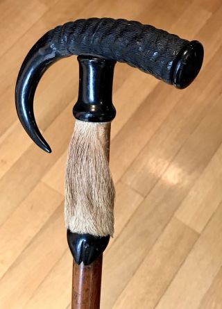 Vintage Antique 1920’ Alpine Swiss Lodge Hunting Walking Stick Cane Horn Handle