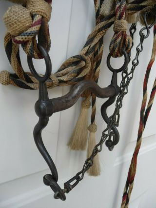 Very Rare Deerlodge Prison Montana Hitched Horse Hair Bridle C - 1880 - 1920 6