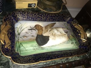 Antique Limoges Hand Painted Havilland Platter Tray Duck Rare Stunning