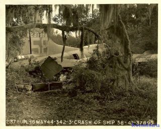 Org.  Photo: B - 17 Bomber (42 - 37895) Crashed In Woods; 1944 (2)