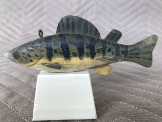 Vintage Isaac Goulette Perch,  Ice Spearing,  Fish Decoy,  Michigan,  1930 ' - 40 ' s. 9