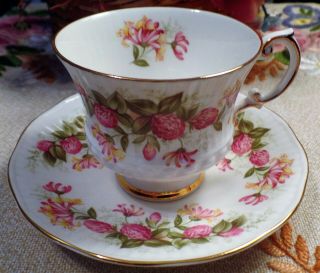 Elizabethan Fine Bone China Made In England Cup & Saucer " Wildflowers "