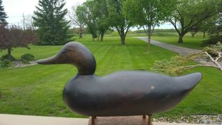 Vintage 1896 - 1924 Mason Challenge Grade Black Duck Wood Hunting Decoy