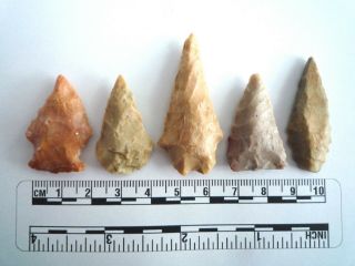 5 X Native American Arrowheads Found In Texas,  Dating From Approx 1000bc (2243)