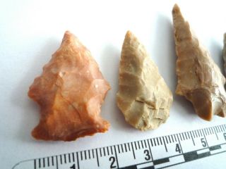 5 x Native American Arrowheads found in Texas,  dating from approx 1000BC (2243) 2