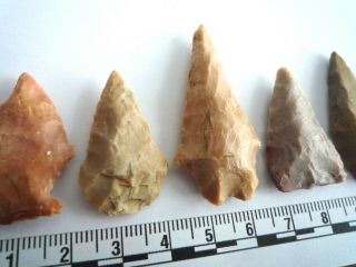 5 x Native American Arrowheads found in Texas,  dating from approx 1000BC (2243) 3