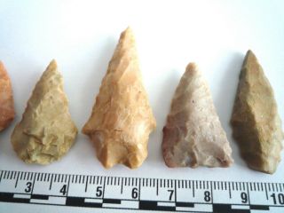 5 x Native American Arrowheads found in Texas,  dating from approx 1000BC (2243) 4