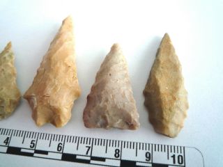 5 x Native American Arrowheads found in Texas,  dating from approx 1000BC (2243) 5