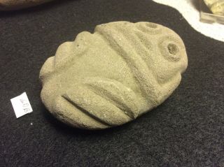 (gdb) Pre - Columbian Southern Arawak Carved Stone Frog.  Ca.  100 A.  D.  - 900 A.  D.