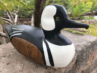 HOODED MERGANSER HUNTING DECOY - STAN VATH OLIVENHAIN CA 2