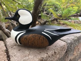 HOODED MERGANSER HUNTING DECOY - STAN VATH OLIVENHAIN CA 4